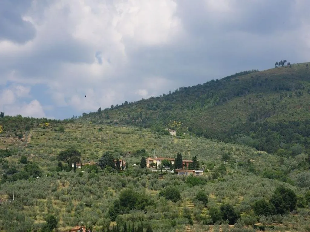 Il Pino Villa Reggello Holiday home